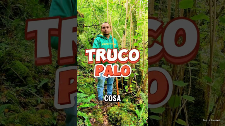 Viajar desde Asturias | December 27, 2024 | Iyan nos enseña cómo conseguir un palo natural como el suyo