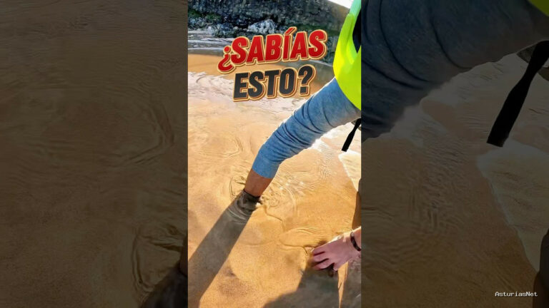 Viajar desde Asturias | December 17, 2024 | En la playa de Celorio hemos encontrado emanaciones de agua dulce
