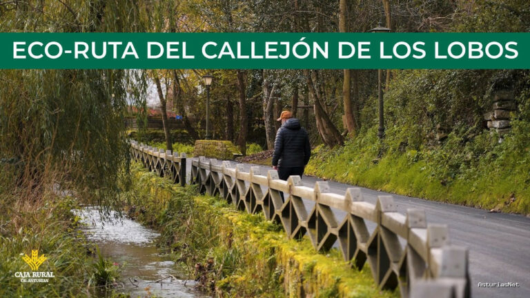 Prestosu | December 19, 2024 | Canal Prestosu | Rutas prestosas: Eco-Ruta Callejón de los Lobos, Valle de Cabuérniga