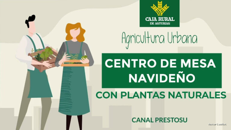 Prestosu | December 11, 2024 | Canal Prestosu | Agricultura urbana: cómo hacer un centro de mesa navideño con plantas naturales