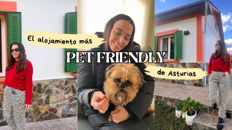 Viajar desde Asturias | December 10, 2024 | Único Alojamiento DEL Mundo QUE TE Descuentan POR Viajar CON Mascota