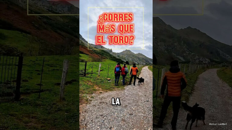 Viajar desde Asturias | December 3, 2024 | Encontramos un cartel gracioso para no entrar en una finca de Somiedo