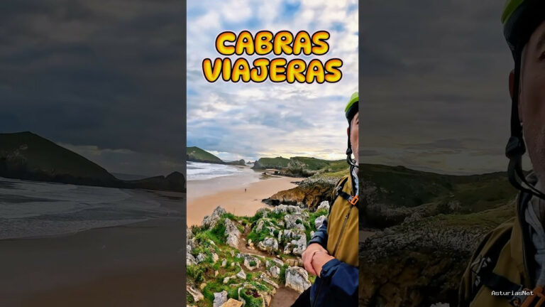 Viajar desde Asturias | December 18, 2024 | Las cabras en verano se van a la isla y se quedan allí unos días