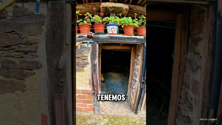 Viajar desde Asturias | December 13, 2024 | Encontramos un gallinero debajo de una panera en el pueblo de Brieves