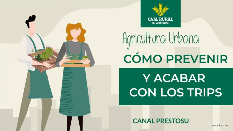 Prestosu | January 8, 2025 | Canal Prestosu | Agricultura urbana: cómo prevenir y acabar con los trips
