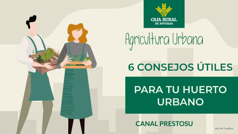 Prestosu | January 22, 2025 | Canal Prestosu | Agricultura urbana: 6 consejos MUY Útiles para tu