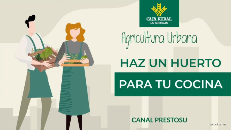 Prestosu | January 15, 2025 | Canal Prestosu | Agricultura urbana: cómo hacer un para tu cocina