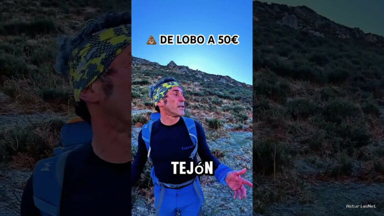 Viajar desde Asturias | January 22, 2025 | Un dato muy curioso sobre el lobo