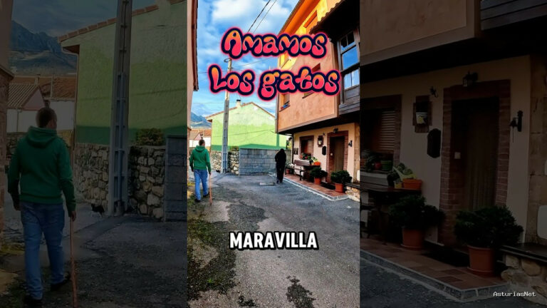 Viajar desde Asturias | January 11, 2025 | Encontramos una casa sin habitar en un pueblo de Asturias