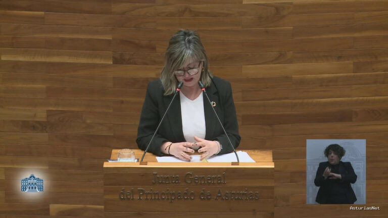 Junta General Principado de Asturias (JGPA) | February 19, 2025 | Pleno