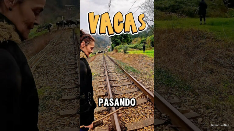 Viajar desde Asturias | February 11, 2025 | Acompañamos a una ganadera para ver cómo mete sus vacas en la cuadra