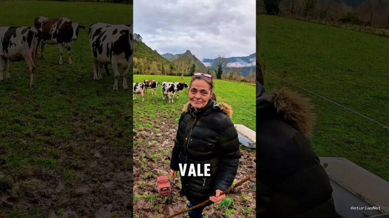 Viajar desde Asturias | February 10, 2025 | Ganaderos POR UN DÍA