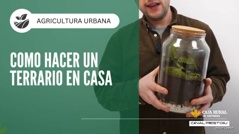 Prestosu | February 26, 2025 | Canal Prestosu | Agricultura urbana: cómo hacer un en casa