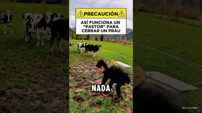 Viajar desde Asturias | February 10, 2025 | ganadera nos enseña cómo funciona el “pastor” para cerrar las fincas y que las vacas no salgan