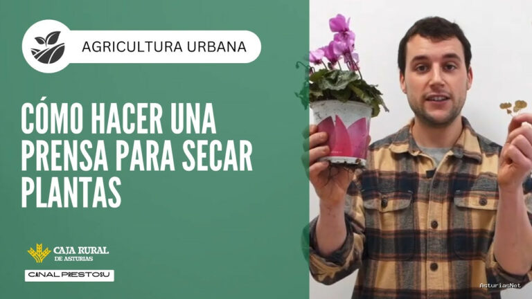 Prestosu | February 7, 2025 | Canal Prestosu | Agricultura urbana: cómo hacer una Prensa para Secar Plantas
