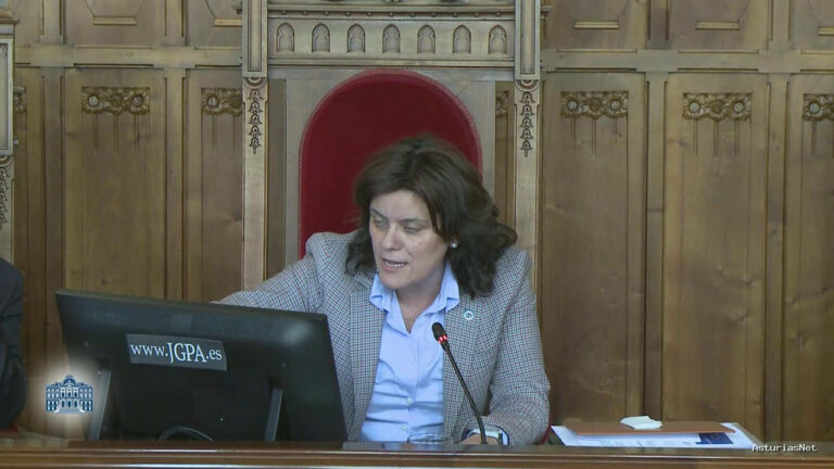 Junta General Principado de Asturias (JGPA) | March 12, 2025 | Comisión de Movilidad, Cooperación Local y Gestión de Emergencias