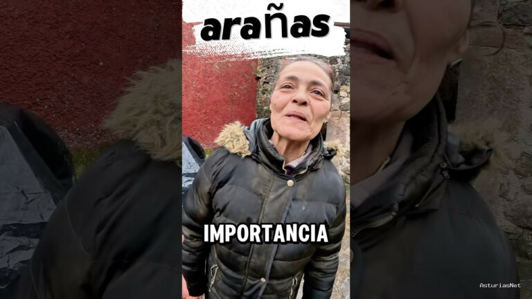 Viajar desde Asturias | March 8, 2025 | La importancia de las telas de araña en las cuadras