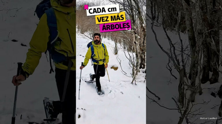 Viajar desde Asturias | March 19, 2025 | Cada vez hay más árboles en Asturias