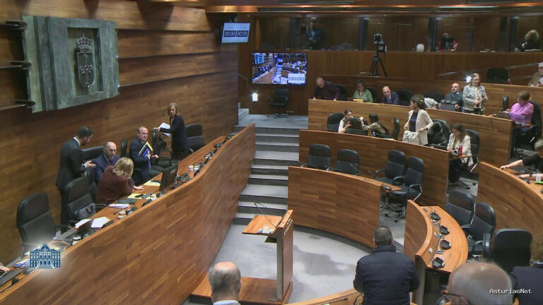 Junta General Principado de Asturias (JGPA) | March 18, 2025 | Pleno