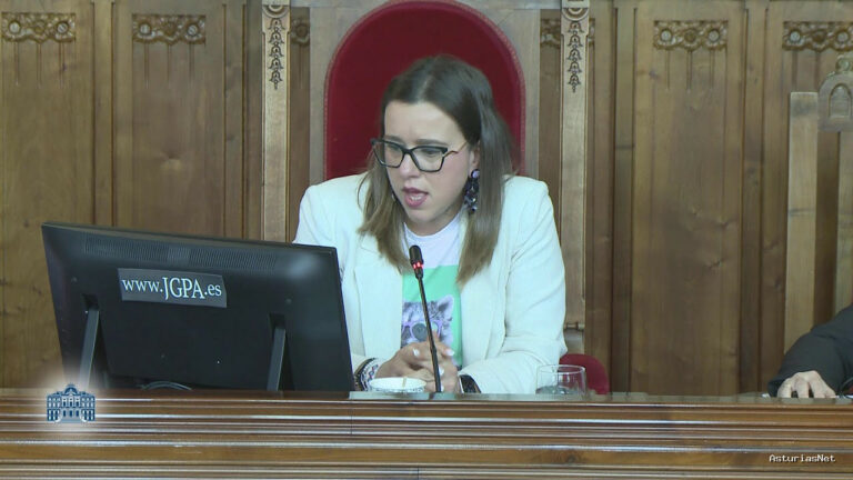 Junta General Principado de Asturias (JGPA) | April 24, 2025 | Comisión de Ciencia, Empresas, Formación y Empleo