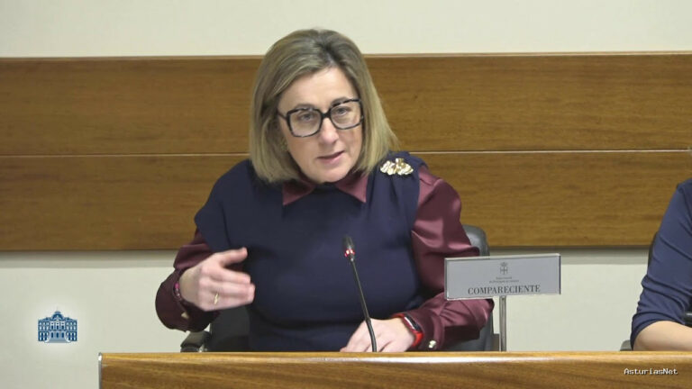 Junta General Principado de Asturias (JGPA) | April 25, 2025 | Comisión de Educación