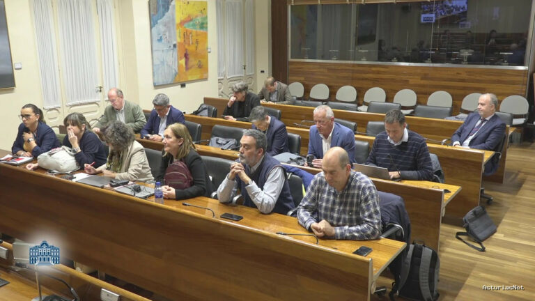 Junta General Principado de Asturias (JGPA) | April 25, 2025 | Comisión de Hacienda, Justicia y Asuntos Europeos