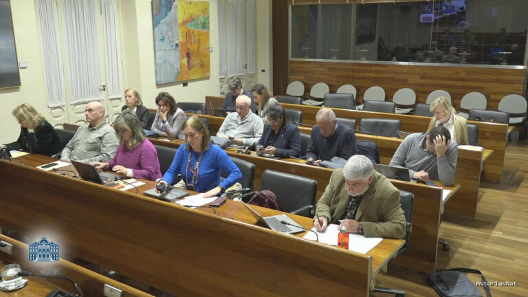 Junta General Principado de Asturias (JGPA) | April 24, 2025 | Comisión de Salud