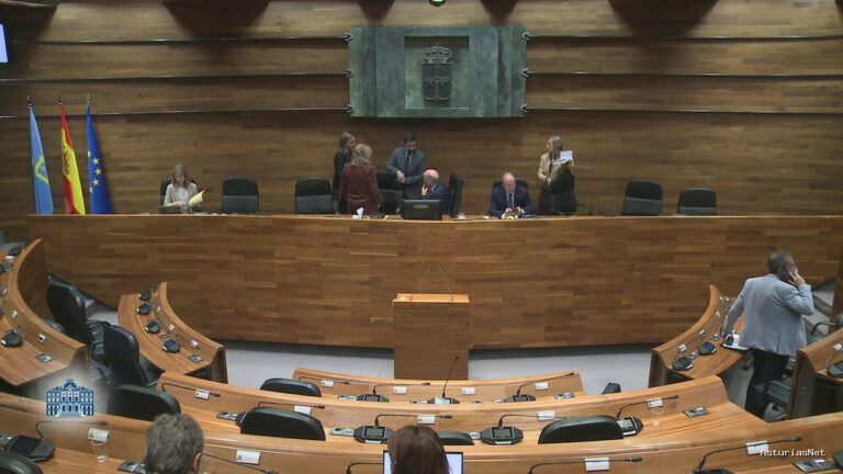 Junta General Principado de Asturias (JGPA) | April 29, 2025 | Pleno