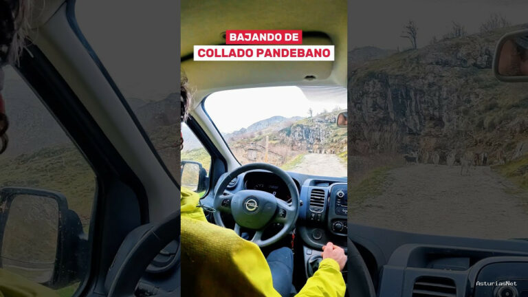Viajar desde Asturias | April 18, 2025 | nos encantan los animales… siempre tienen preferencia. parar el coche y disfrutar