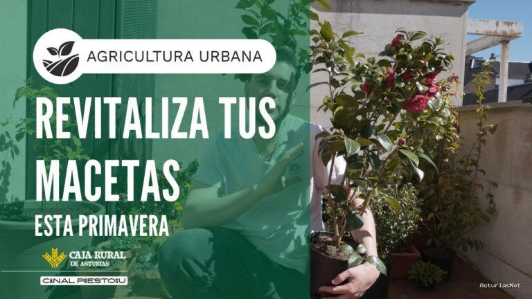 Prestosu | April 16, 2025 | Canal Prestosu | Agricultura urbana: esta primavera, ¡revitaliza tus macetas!