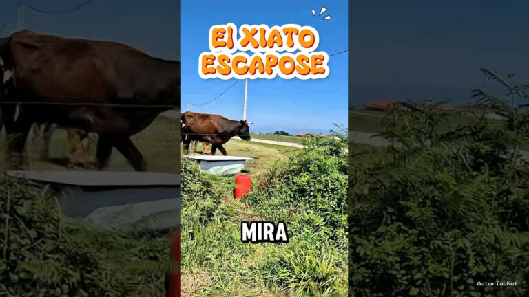 Viajar desde Asturias | May 20, 2025 | El xiato escapose;
