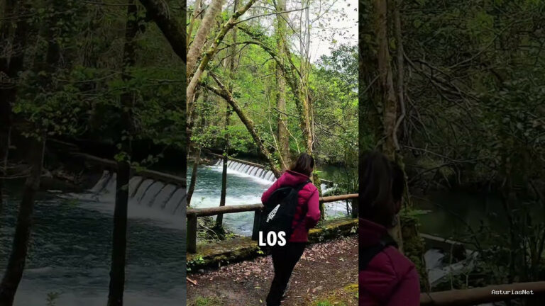 Viajar desde Asturias | May 1, 2025 | El río Eume cumple las características principales para que se realice el desove de los salmones
