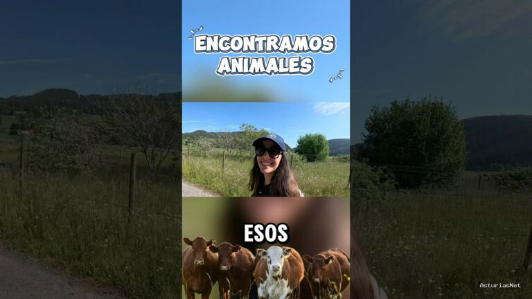 Viajar desde Asturias | May 22, 2025 | Acabamos de comenzar la ruta y ya encontramos los primeros animales; nos encantan como veis