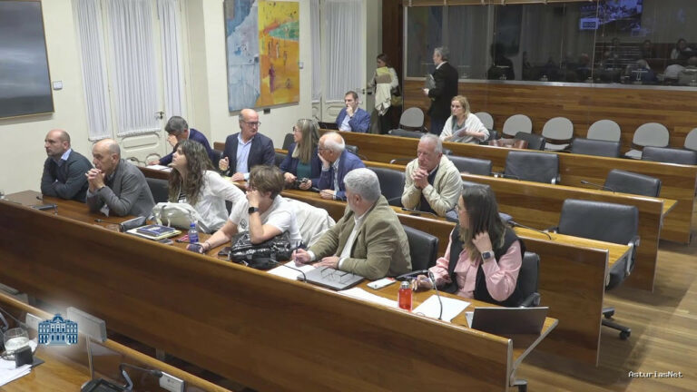 Junta General Principado de Asturias (JGPA) | May 8, 2025 | Comisión de Medio Rural y Política Agraria