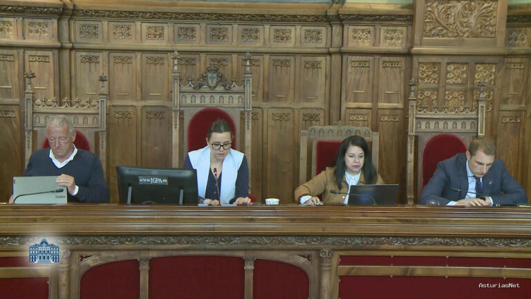 Junta General Principado de Asturias (JGPA) | May 22, 2025 | Comisión de Ciencia, Industria y Empleo