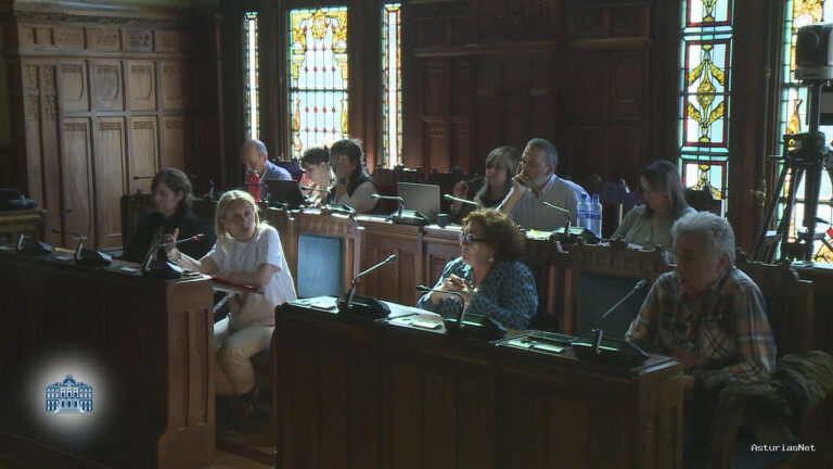 Junta General Principado de Asturias (JGPA) | May 30, 2025 | Comisión de Presidencia, Reto Demográfico, Igualdad y Turismo, y de Vicepresidencia I