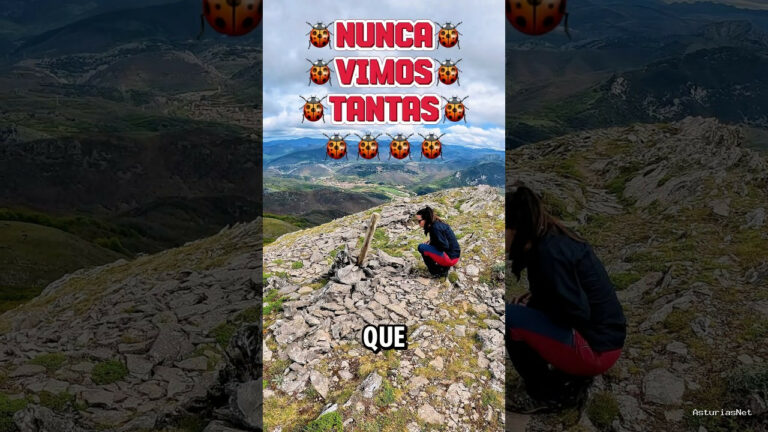 Viajar desde Asturias | May 3, 2025 | Nunca habíamos visto tantos insectos de este tipo en la naturaleza
