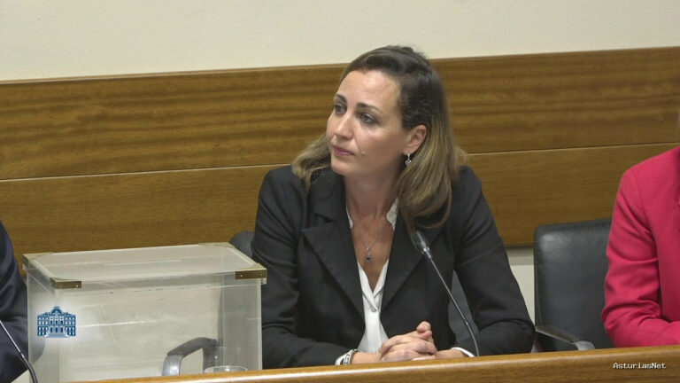 Junta General Principado de Asturias (JGPA) | May 15, 2025 | Comisión de investigación sobre el accidente acaecido en la mina de Cerredo, en Degaña.