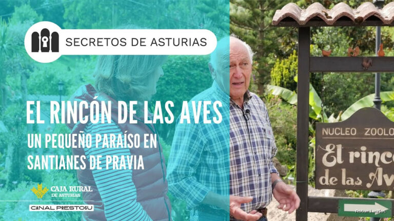 Prestosu | June 3, 2025 | Canal Prestosu | Secretos de Asturias: El Rincón de las Aves, en