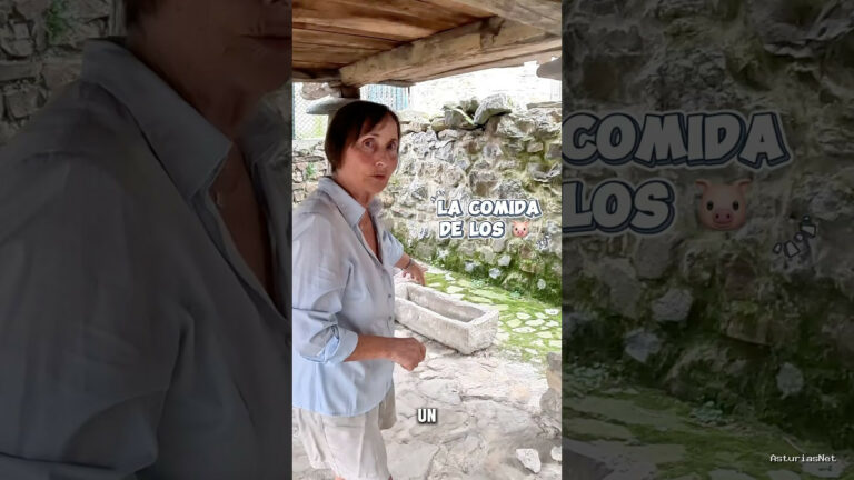 Viajar desde Asturias | June 26, 2025 | Hoy os contamos lo que comían antiguamente los cerdos en los pueblos