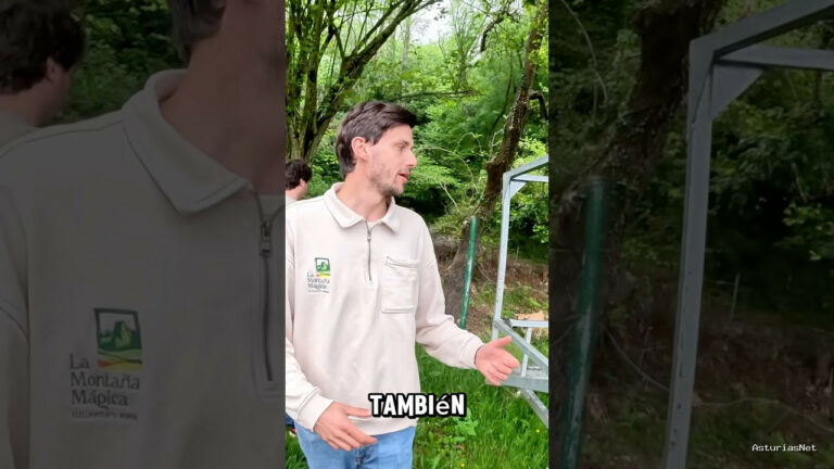 Viajar desde Asturias | June 21, 2025 | En esta ocasión nos cuentan cosas muy interesantes sobre sus vacas. Volvemos al hotel rural