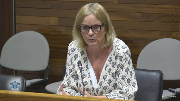 Junta General Principado de Asturias (JGPA) | July 29, 2025 | Comisión de investigación sobre accidente en la mina de Cerredo (II)