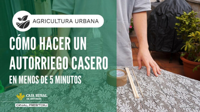 Prestosu | July 23, 2025 | Canal Prestosu | Agricultura urbana: cómo hacer un autorriego casero en menos de 5 minutos