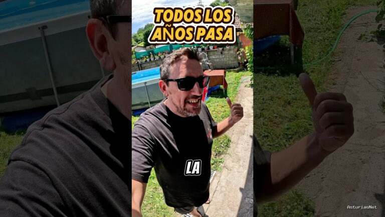 Viajar desde Asturias | July 7, 2025 | Todos los años por estas fechas vienen las golondrinas a poner el nido al mismo lugar.