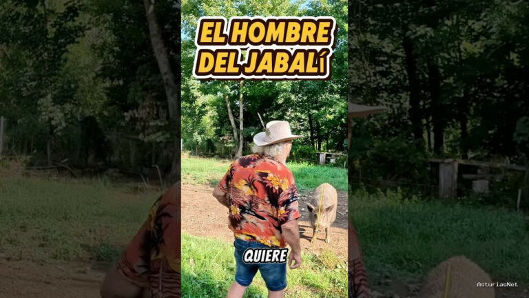 Viajar desde Asturias | July 16, 2025 | Os contamos la historia de Pepe y su jabalí. Una tierna historia entre un hombre y un animal