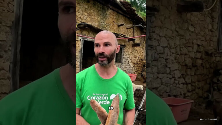 Viajar desde Asturias | July 4, 2025 | Desde el santuario de animales piden colaboración a los comercios de Asturias