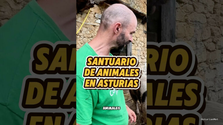 Viajar desde Asturias | July 3, 2025 | Visitamos un santuario de animales en Asturias; tenéis el vídeo completo en el canal