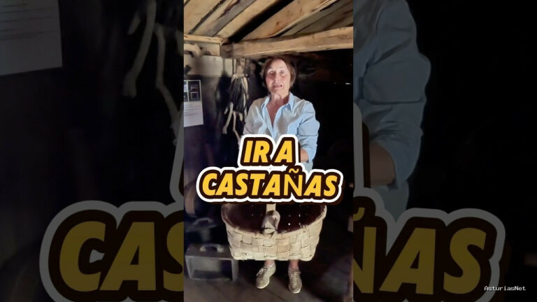 Viajar desde Asturias | July 6, 2025 | Te enseñamos cómo se cogían las castañas y se metían en las corras