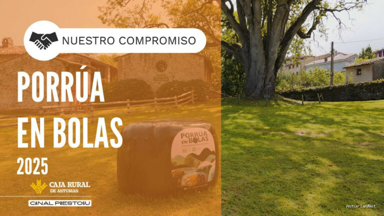 Prestosu | July 17, 2025 | Canal Prestosu | Nuestro compromiso: V edición de Porrúa en bolas