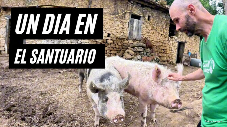 Viajar desde Asturias | July 3, 2025 | LO QUE Descubrimos EN Este Santuario NOS Cambiará